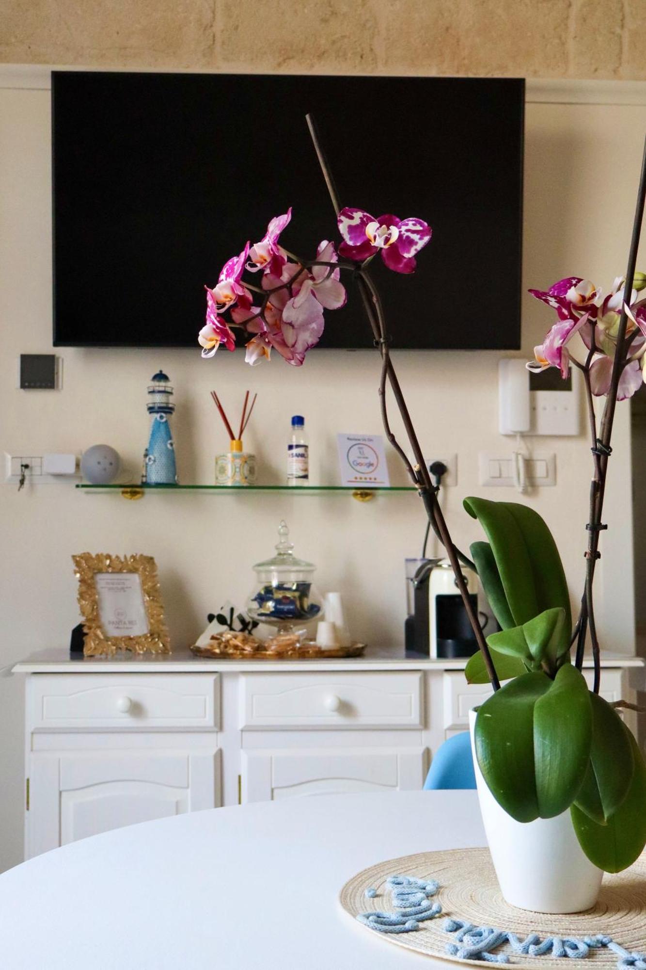 Panta Rei Wellness & Charme Monopoli Apartment Ngoại thất bức ảnh